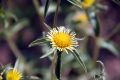 2010 07 13 jeanmarcperfetti.com 021.JPG